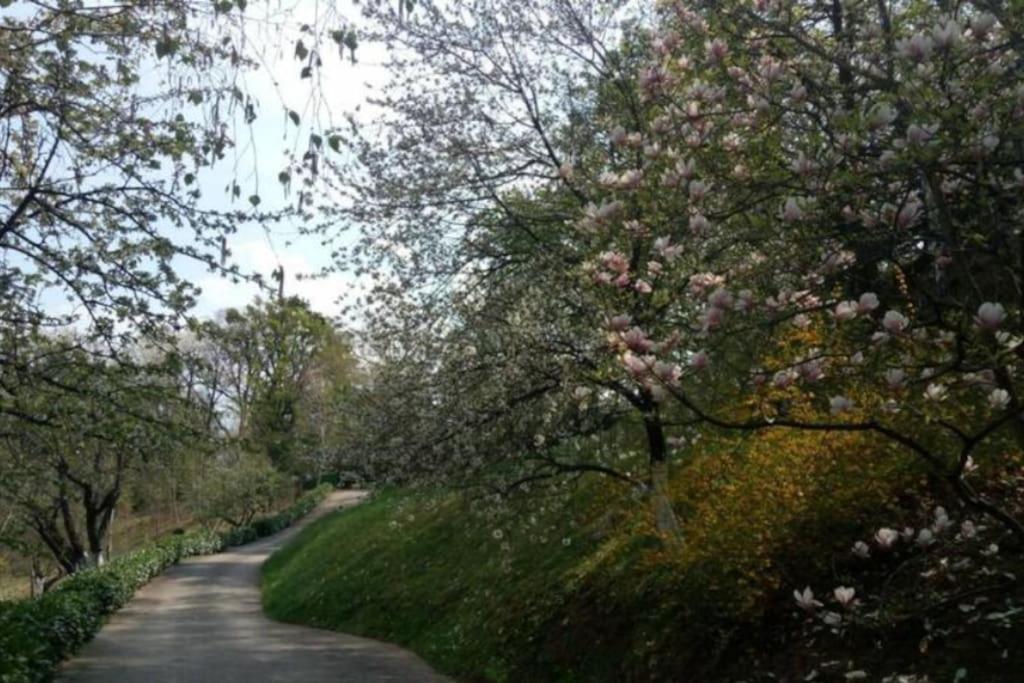 Cozzy Apartment In Nature Zagreb Dış mekan fotoğraf